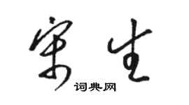 駱恆光宋生草書個性簽名怎么寫