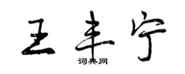 曾慶福王豐寧行書個性簽名怎么寫