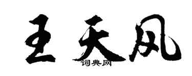 胡問遂王天風行書個性簽名怎么寫