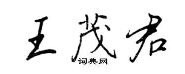 王正良王茂君行書個性簽名怎么寫