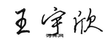 駱恆光王宇欣行書個性簽名怎么寫