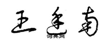 曾慶福王廷南草書個性簽名怎么寫