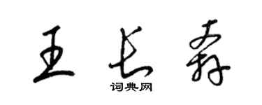 梁錦英王長奔草書個性簽名怎么寫