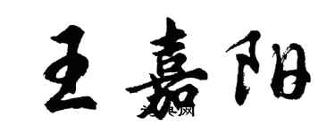 胡問遂王嘉陽行書個性簽名怎么寫