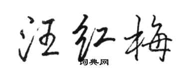駱恆光汪紅梅行書個性簽名怎么寫