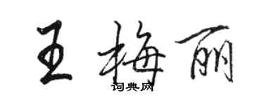 駱恆光王梅麗行書個性簽名怎么寫