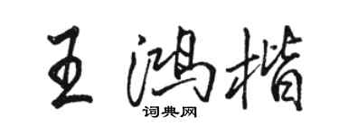 駱恆光王鴻楷行書個性簽名怎么寫