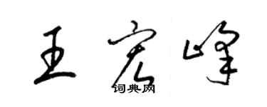 梁錦英王宏峰草書個性簽名怎么寫