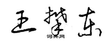 曾慶福王攀東草書個性簽名怎么寫