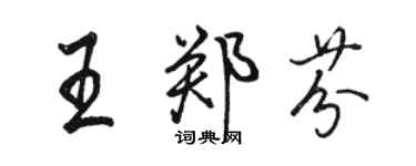 駱恆光王鄭芬行書個性簽名怎么寫