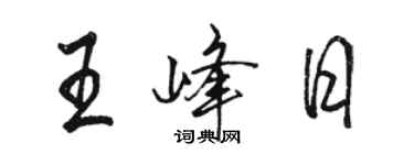 駱恆光王峰日行書個性簽名怎么寫