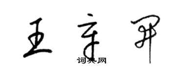 梁錦英王辛開草書個性簽名怎么寫