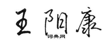駱恆光王陽康行書個性簽名怎么寫