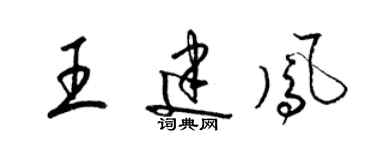 梁錦英王建鳳草書個性簽名怎么寫