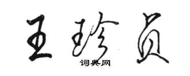 駱恆光王珍貞行書個性簽名怎么寫