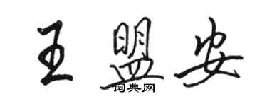 駱恆光王盟安行書個性簽名怎么寫