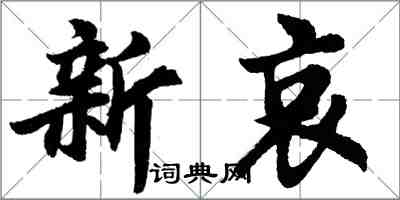 胡問遂新哀行書怎么寫