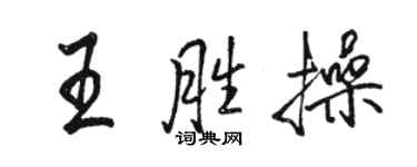 駱恆光王勝操行書個性簽名怎么寫