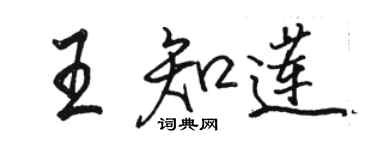 駱恆光王知蓮行書個性簽名怎么寫