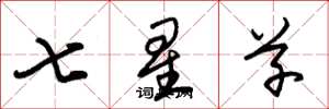 朱錫榮七星草草書怎么寫