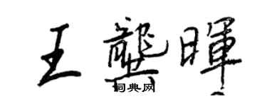 王正良王龔暉行書個性簽名怎么寫