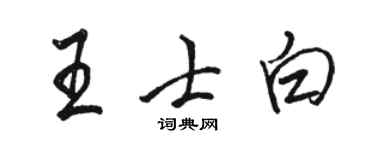 駱恆光王士白行書個性簽名怎么寫