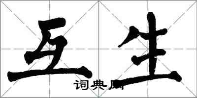 翁闓運互生楷書怎么寫