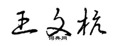 曾慶福王文杭草書個性簽名怎么寫