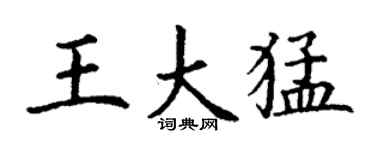 丁謙王大猛楷書個性簽名怎么寫