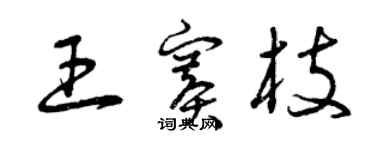 曾慶福王賽枝草書個性簽名怎么寫