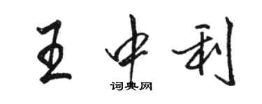 駱恆光王中利行書個性簽名怎么寫