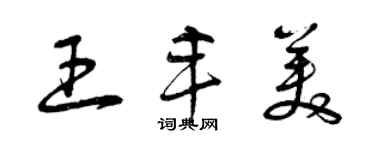 曾慶福王豐美草書個性簽名怎么寫