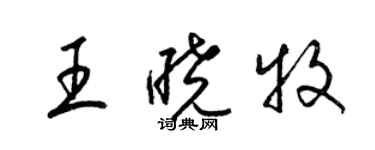 梁錦英王曉牧草書個性簽名怎么寫