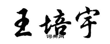 胡問遂王培宇行書個性簽名怎么寫