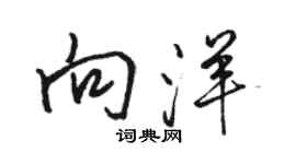 駱恆光向洋行書個性簽名怎么寫