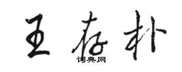 駱恆光王存朴行書個性簽名怎么寫