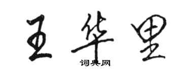 駱恆光王華里行書個性簽名怎么寫