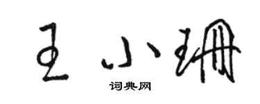 駱恆光王小珊草書個性簽名怎么寫