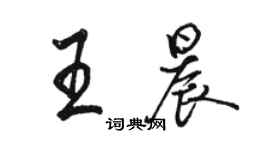 駱恆光王晨行書個性簽名怎么寫