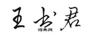 駱恆光王書君行書個性簽名怎么寫