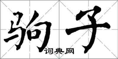 翁闓運駒子楷書怎么寫