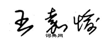 朱錫榮王嘉愉草書個性簽名怎么寫