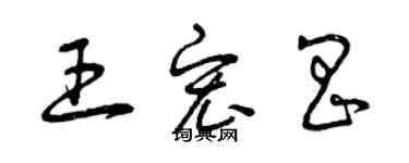 曾慶福王宏昌草書個性簽名怎么寫