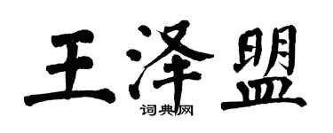 翁闓運王澤盟楷書個性簽名怎么寫