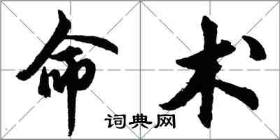 胡問遂命術行書怎么寫