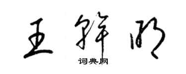 梁錦英王乾明草書個性簽名怎么寫