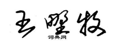 朱錫榮王野牧草書個性簽名怎么寫