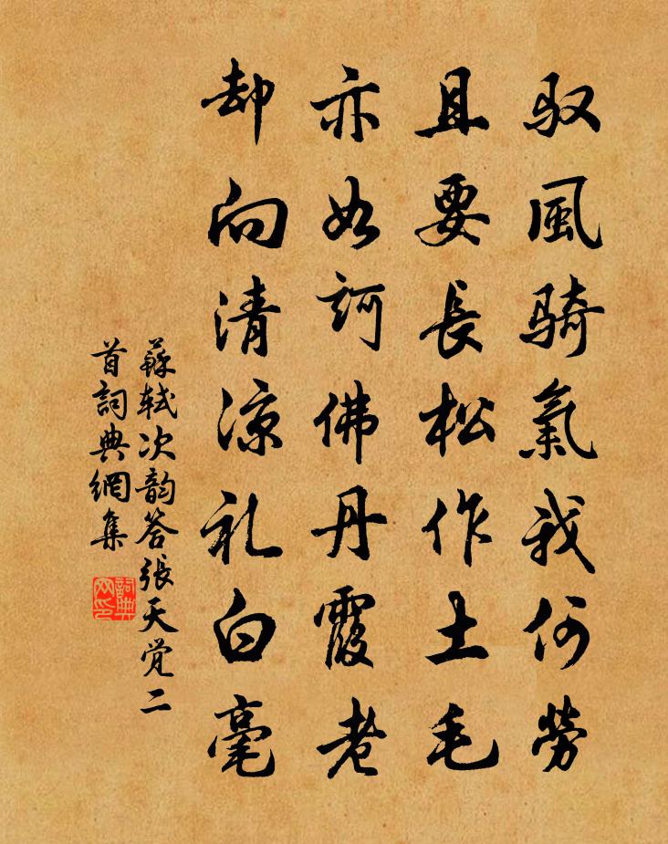 蘇軾次韻答張天覺二首書法作品欣賞