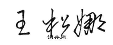 駱恆光王松娜草書個性簽名怎么寫