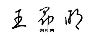 梁錦英王昂明草書個性簽名怎么寫